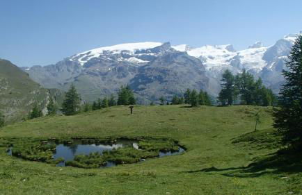 Champoluc Apartment - Foto 5