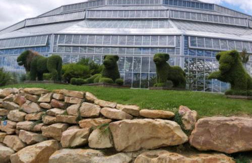 le gîte le CAMÉLIA - Foto 20