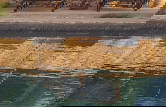 Koheilan Oriental Lodge Farm - Photo 12