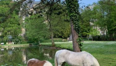 Gite La Suite Ducale Chateau La Roche Racan - Foto 4