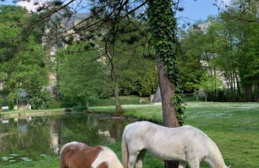 Gite La Suite Ducale Chateau La Roche Racan - Foto 4