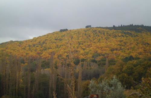 Apartment Valle de Cepeda - Foto 18