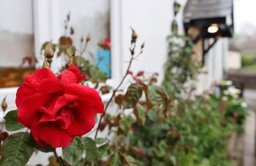 Beautiful Cottage Parking Central Dunster - Photo 23