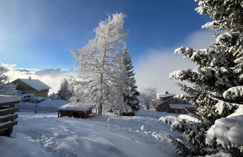 Chalet Rouge ou Blanc - Foto 54