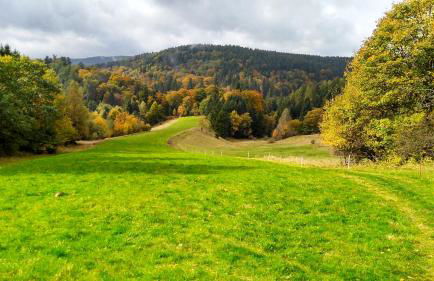 Ferienwohnung Schneemann - Foto 45