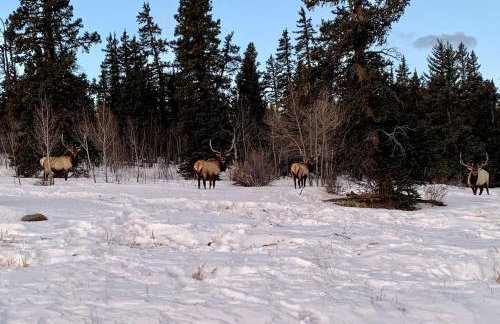 Secluded Jefferson Cabin with Deck and Mountain Views! - Foto 26