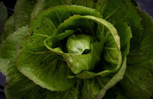 Hotel Agriturismo Al Luogo Del Giulio - Foto 106