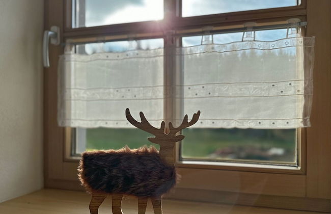 Ferienwohnung im Bayerischen Wald mit Terrasse - Photo 28