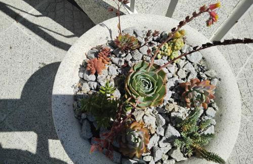 Casa do Campo - Foto 24