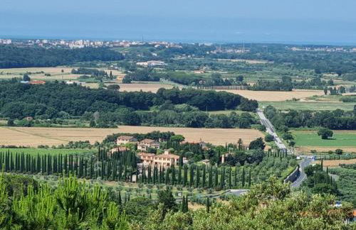 Le Pinetine - Foto 24