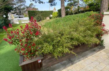 Dune et Terrasse - Foto 11