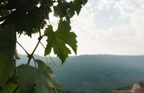 Apedeceo Belesar Villa, Ribeira Sacra, Galicia - Foto 10