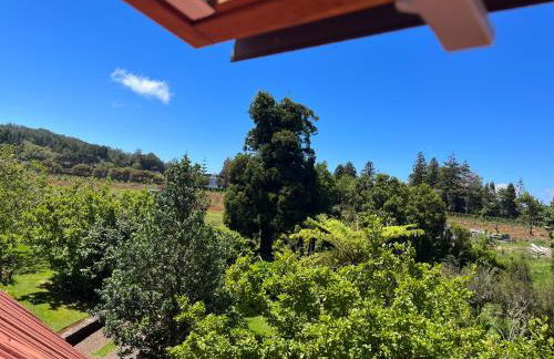 Bio Quinta do Pantano, Agro Turismo - Foto 8