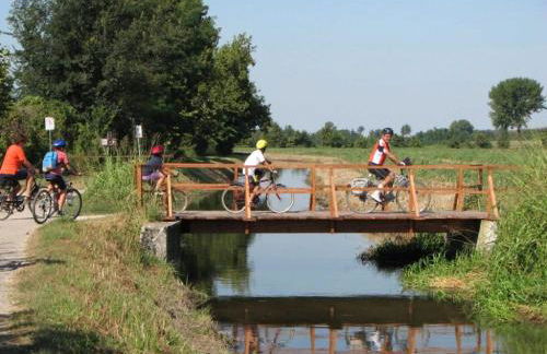 CORTE MORONA - Foto 31