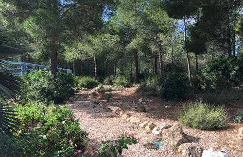 Casa Lorena - Foto 37