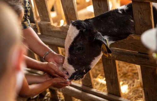 Palagina la cascina - Photo 68