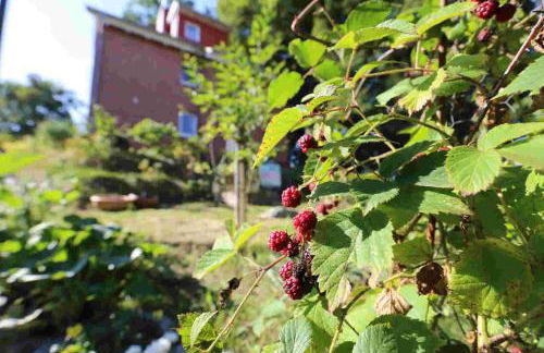 Ferienwohnung Am Hohen Berge - Foto 13