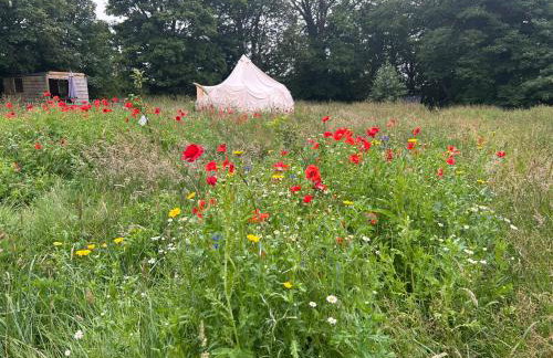 Beautiful Bell Tent Stay - Foto 19