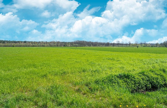 Rural House on Park Near Molenschot - Foto 34