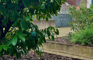 Homindays Terrace with Mountain Views River just Nearby - Foto 66