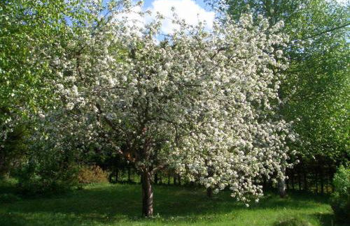 Ferienwohnungen Größwang - Foto 22