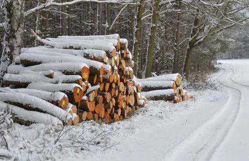 Ferienwohnung Deutschmann - Foto 23