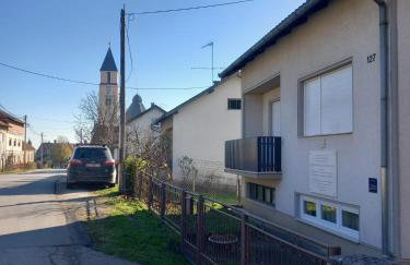 Shalom Krašić - Foto 6