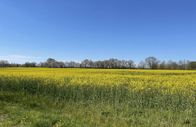 1 bedroom Apartment in Splietsdorf with garden and terrace - Photo 15