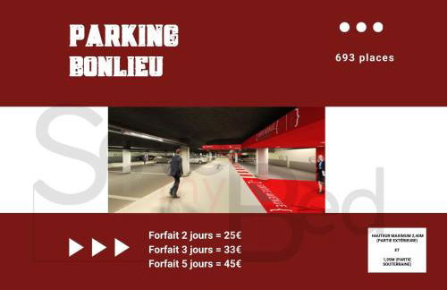 Canopee rue Carnot Annecy - Foto 12