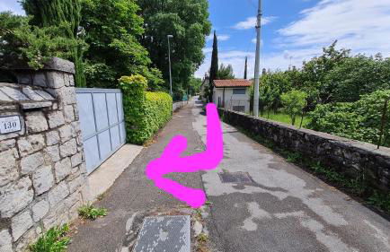 Alla Cantina - Foto 36