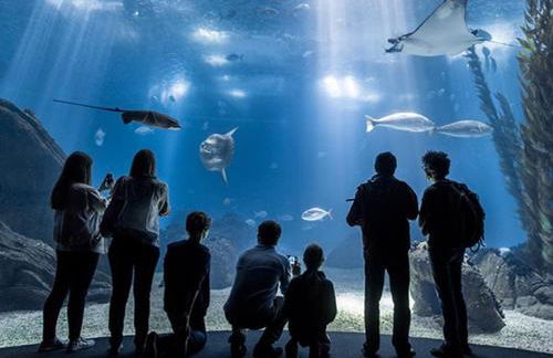 modern flat - Foto 24