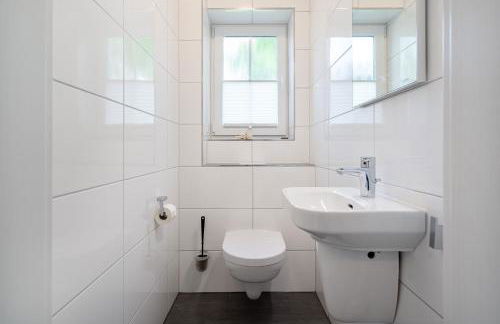 Löwenzahn - Foto 20