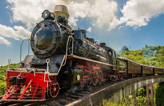 Tren Maria Fumaça + Visita a la Vinícola Aurora - Foto 1