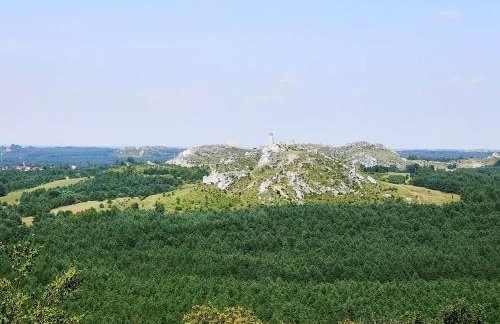 Sielanka Aleksandria - Foto 25