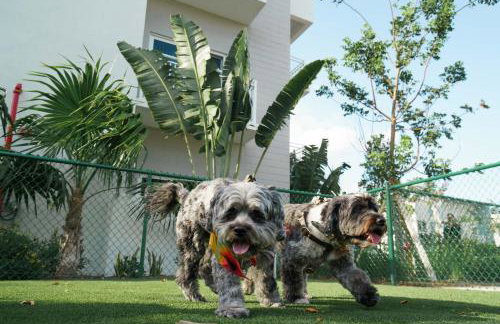 Beachside Bliss, 1BR Condo with Pool at Dania Beach - Foto 28