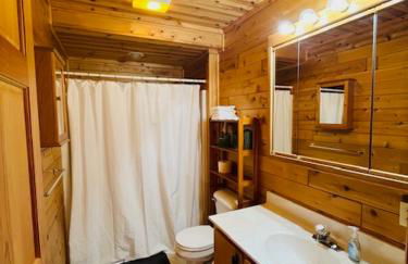 Gaylord Lakefront Cabin w Private Dock Fire Pit - Foto 16