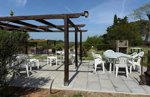 Antica Fattoria Borghesi - Photo 23