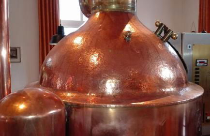 FeWos im alten Bahnhof - Foto 78