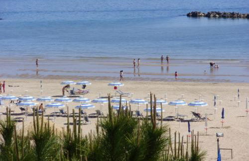 Mono Rosburgo 1 - Foto 25