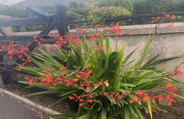 Spelga View - Foto 13