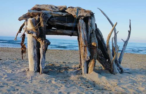 Perla marina - Foto 38