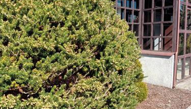 Domki na Stoku Nadole - Foto 2