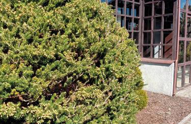 Domki na Stoku Nadole - Foto 2