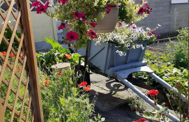Les Coquelicots En Baie De Somme - Foto 13