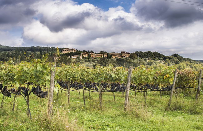 Agriturismo Podere Ficareto - Foto 80