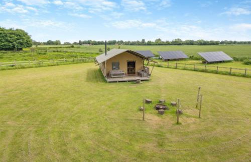 Muntjac - Uk47396 - Foto 1