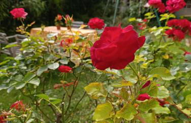 Villa Seine - Foto 16