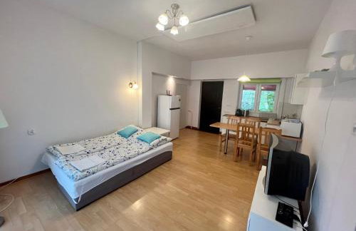 Sosnowy apartament - Foto 6