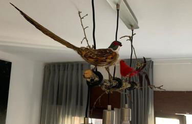 Grandma's Carolina Villa - Foto 2