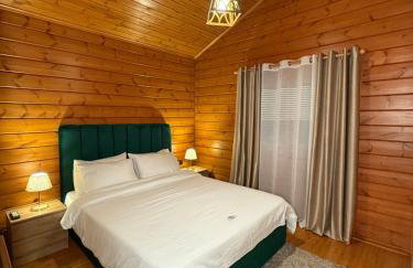 Cave Chalet Parnassos - Foto 7